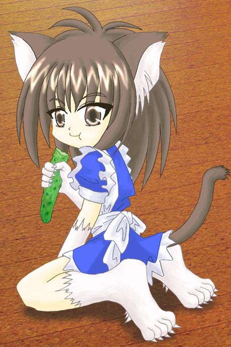 pre_bunya02.jpg(50%)